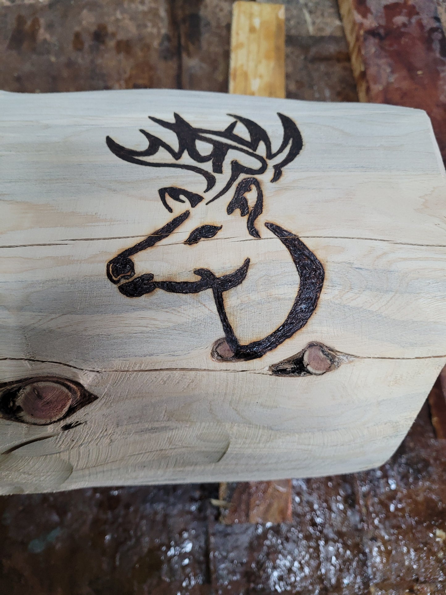 Chainsaw Carving Name Log, Cedar Name Log, Family Name log, Business Name Log Sign