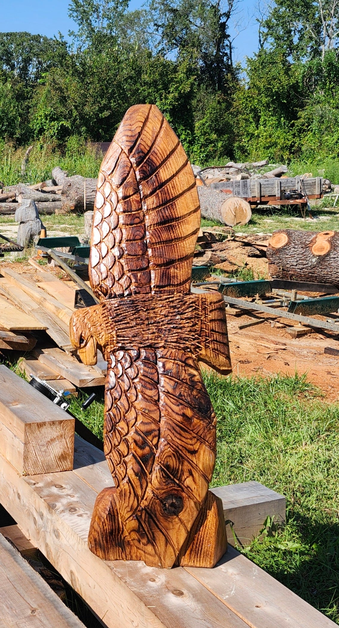 Chainsaw Carving Soaring Eagle 3 ft, soaring Eagle