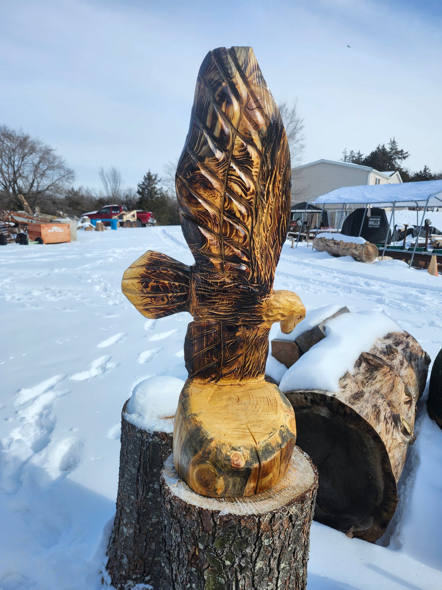 Chainsaw Carving Eagle, 3 feet tall.