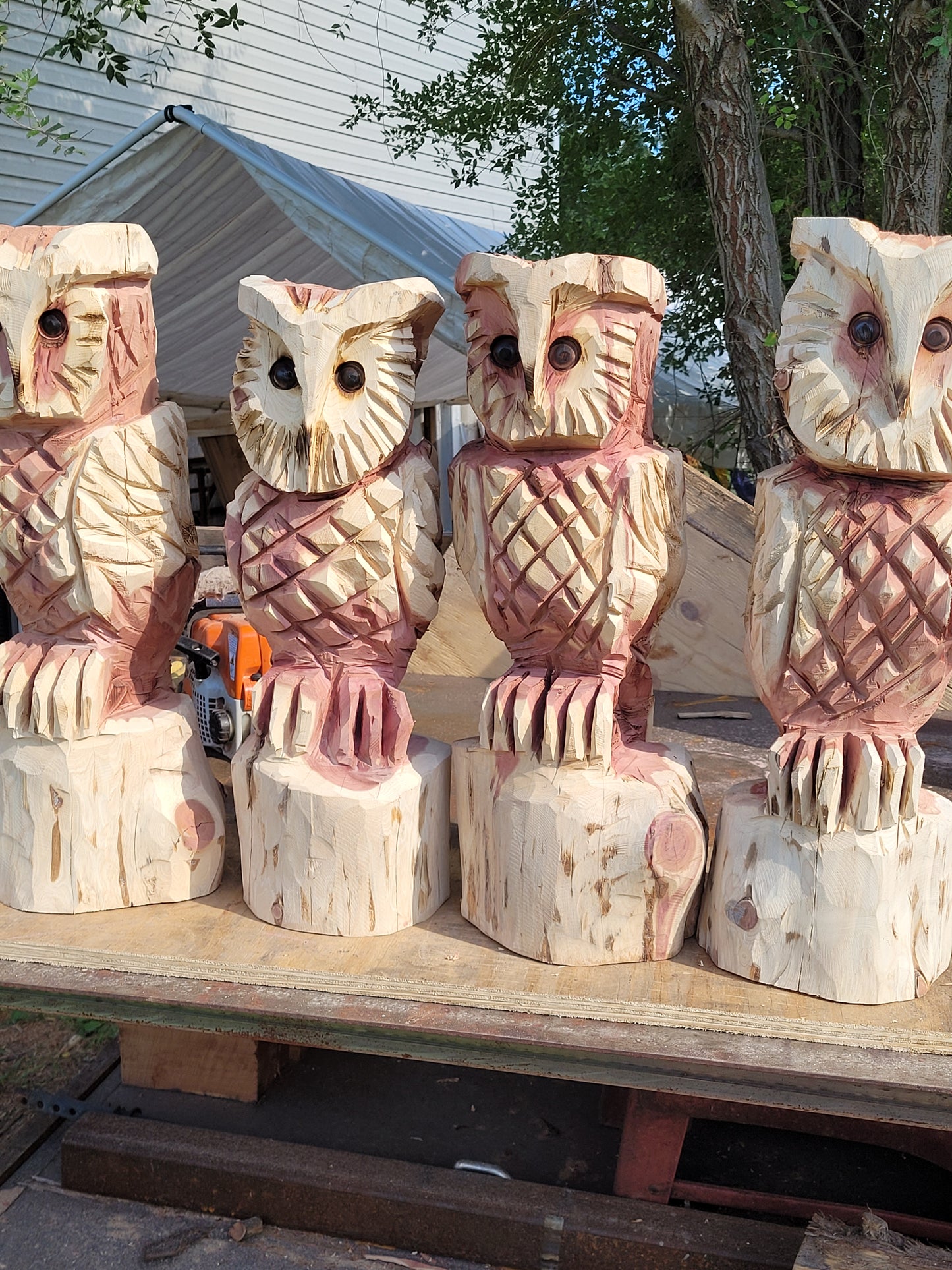 Chainsaw Carving Owl, 2 ft. Tall, beautiful family name cedar owl.