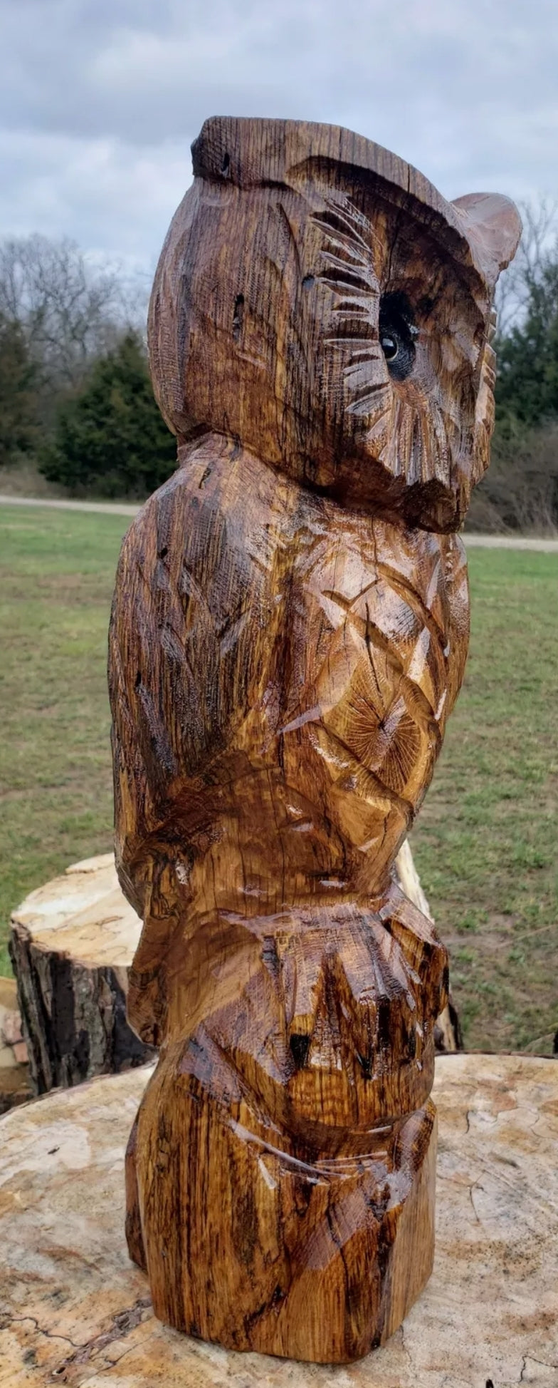 Chainsaw Carving Owl, 2 ft. Tall, beautiful family name cedar owl.