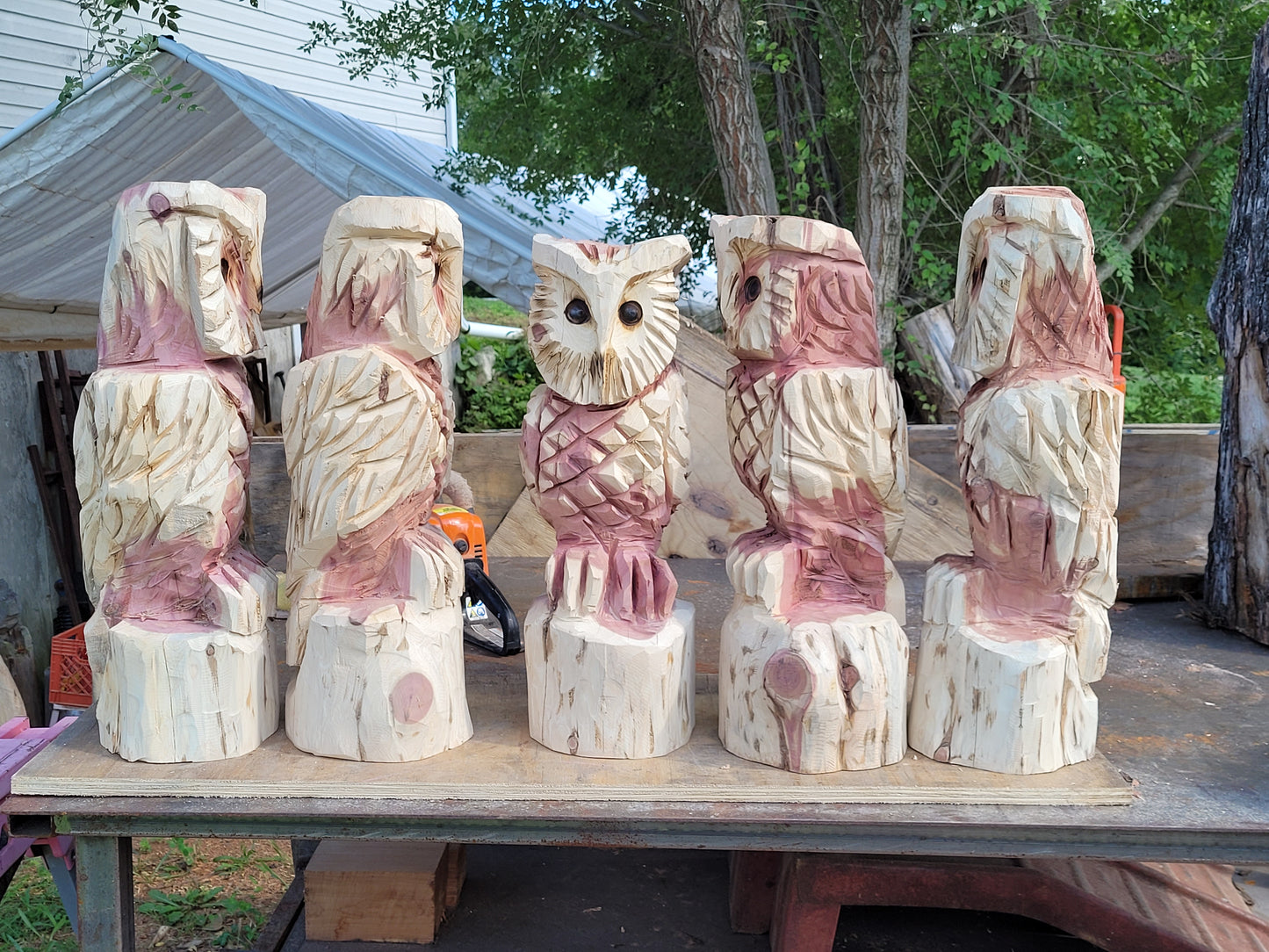 Chainsaw Carving Owl, 2 ft. Tall, beautiful family name cedar owl.