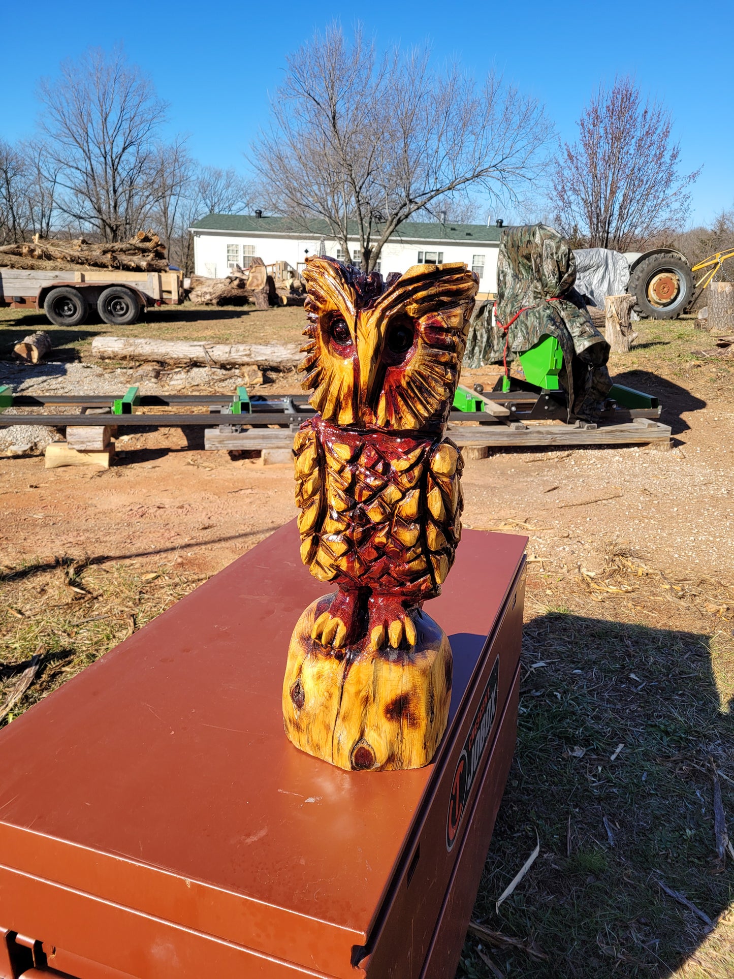 Chainsaw Carving 2ft Owl.