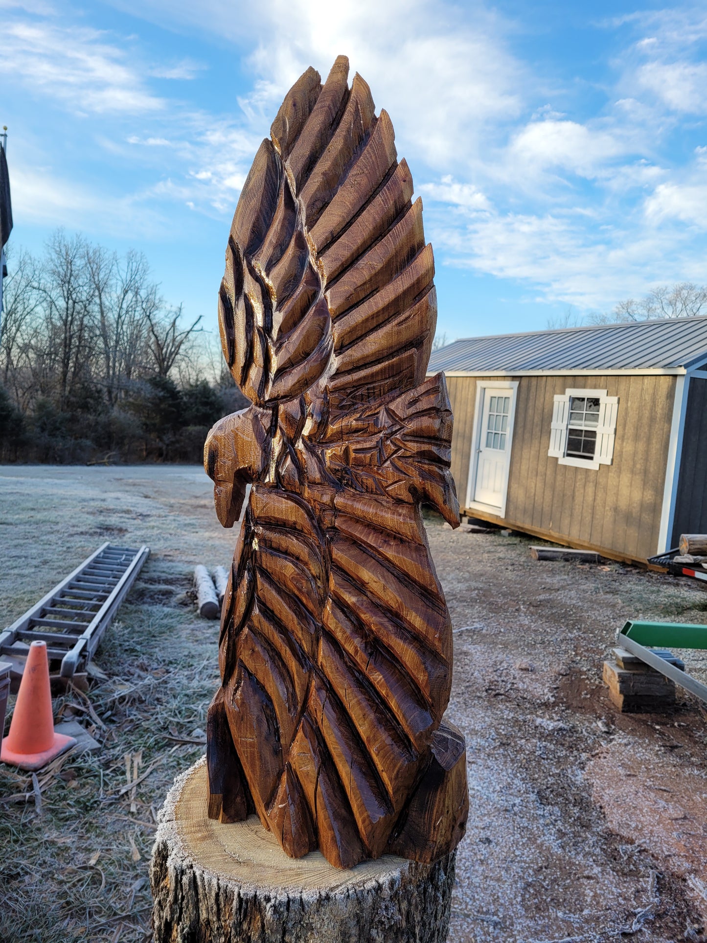 Chainsaw Carving Eagles