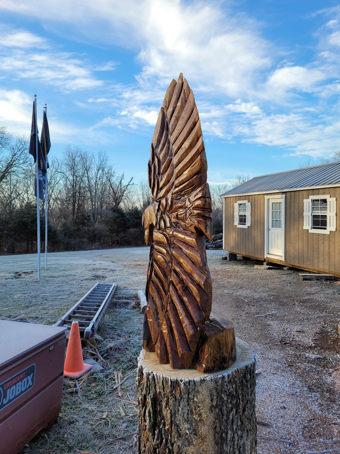 Chainsaw Carving Eagles