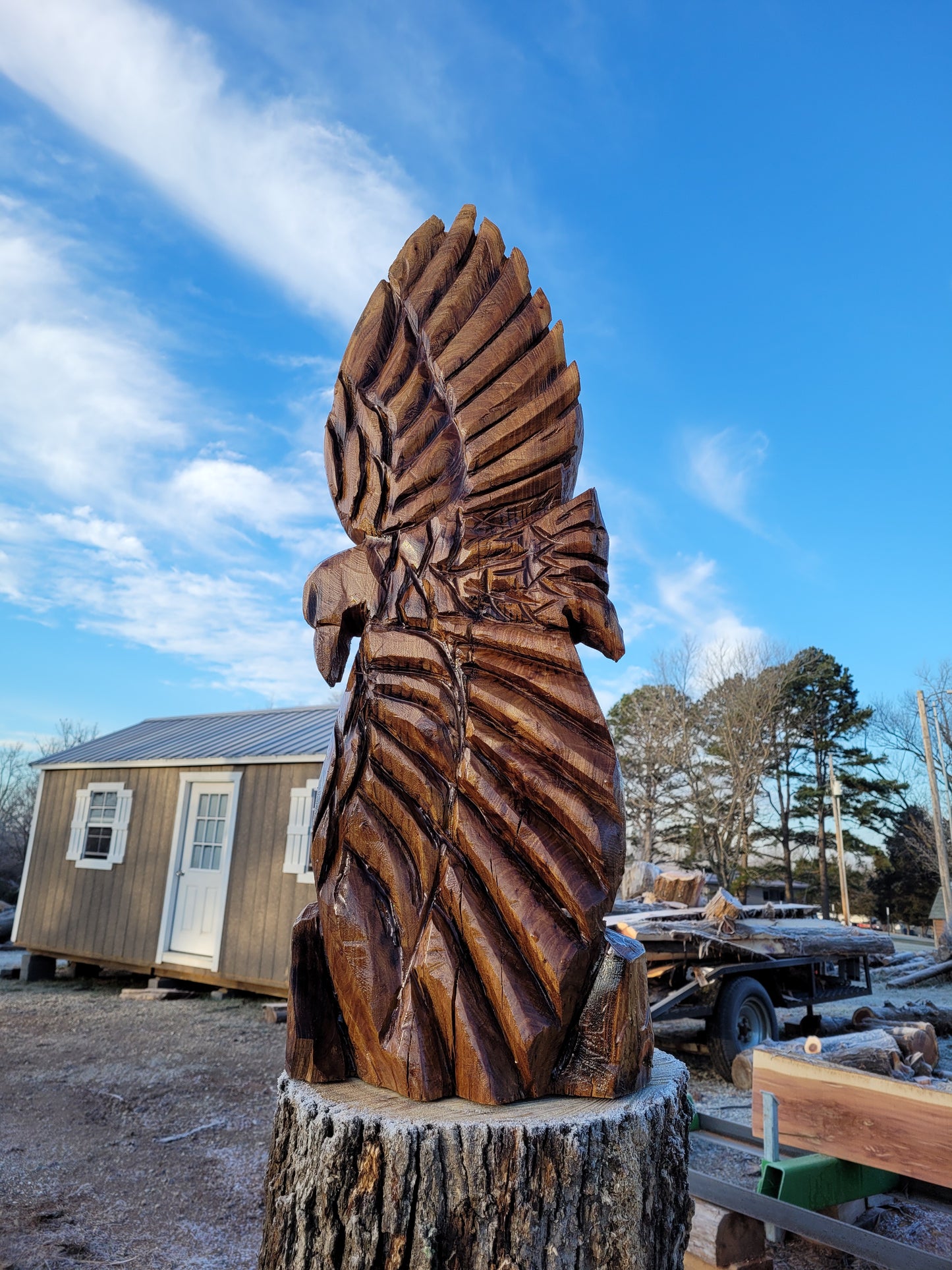 Chainsaw Carving Eagles