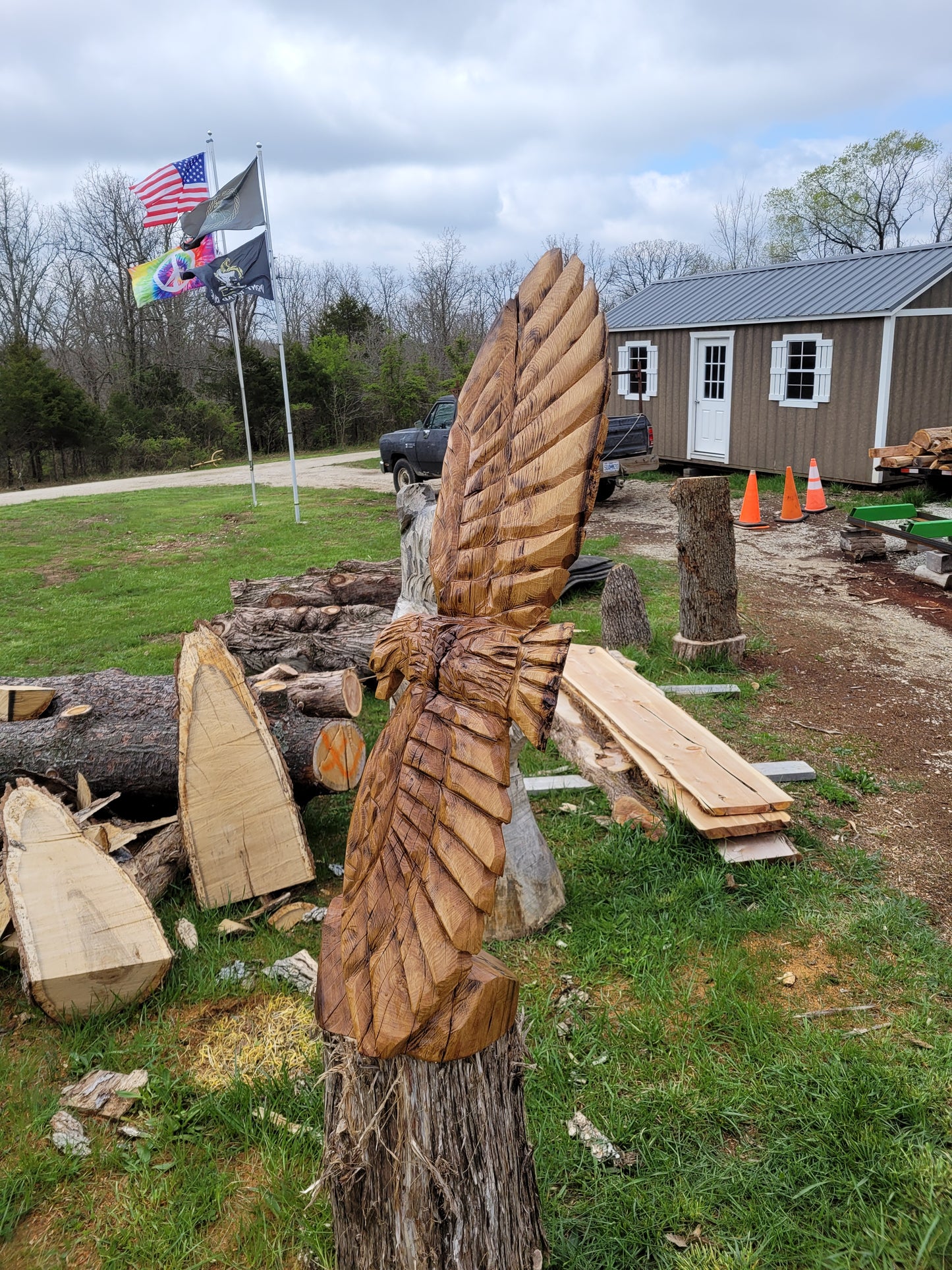 Chainsaw Carving Eagles