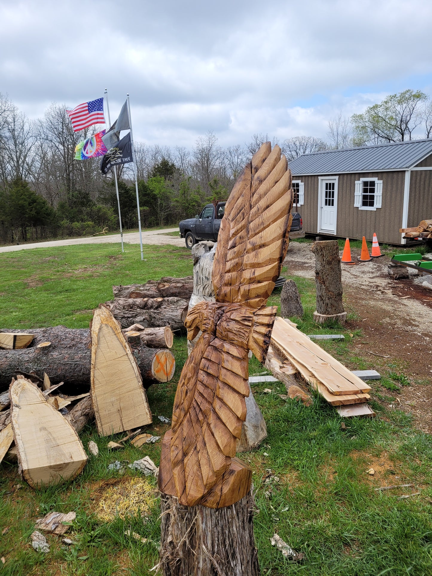 Chainsaw Carving Eagles