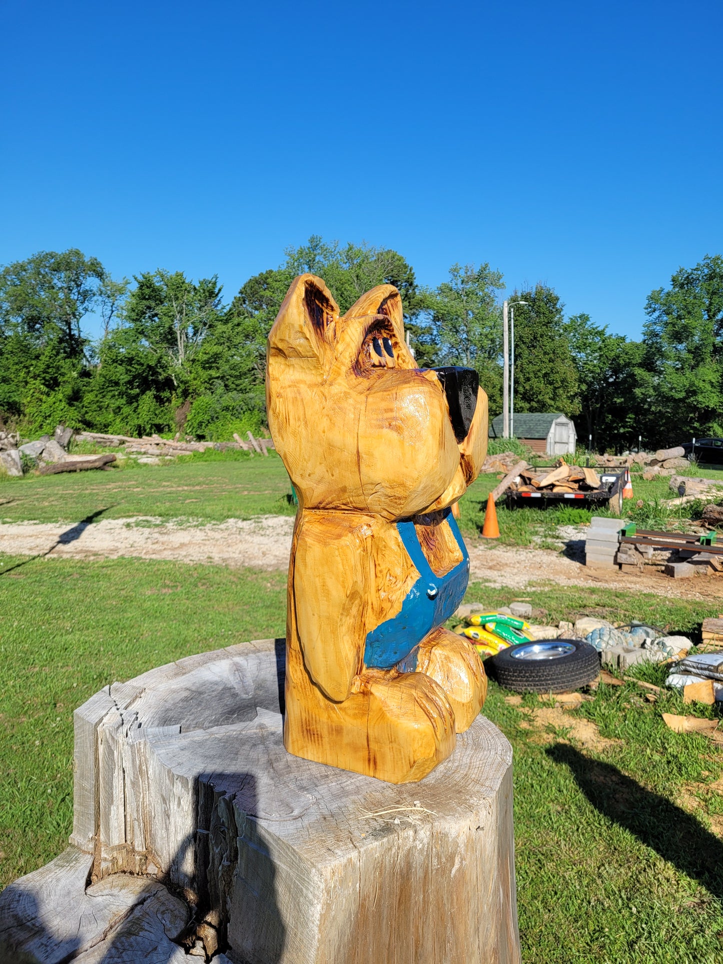 Chainsaw Carving Bear in overalls. 24 inches