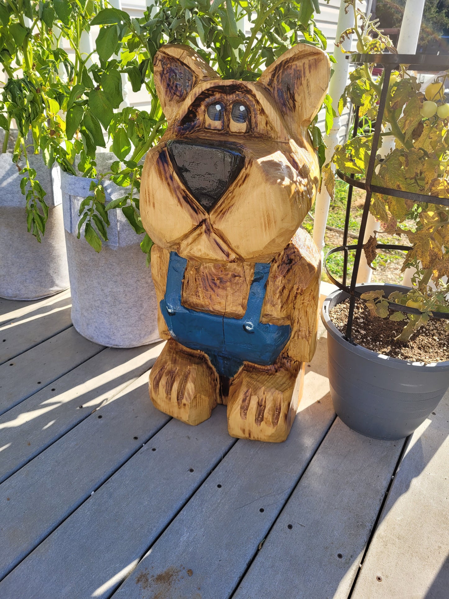 Chainsaw Carving Bear in overalls. 24 inches