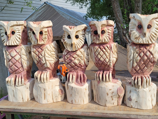 Chainsaw carving Owl. 18" tall