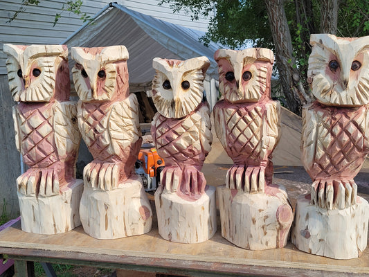 Chainsaw carving Owl. 18" tall