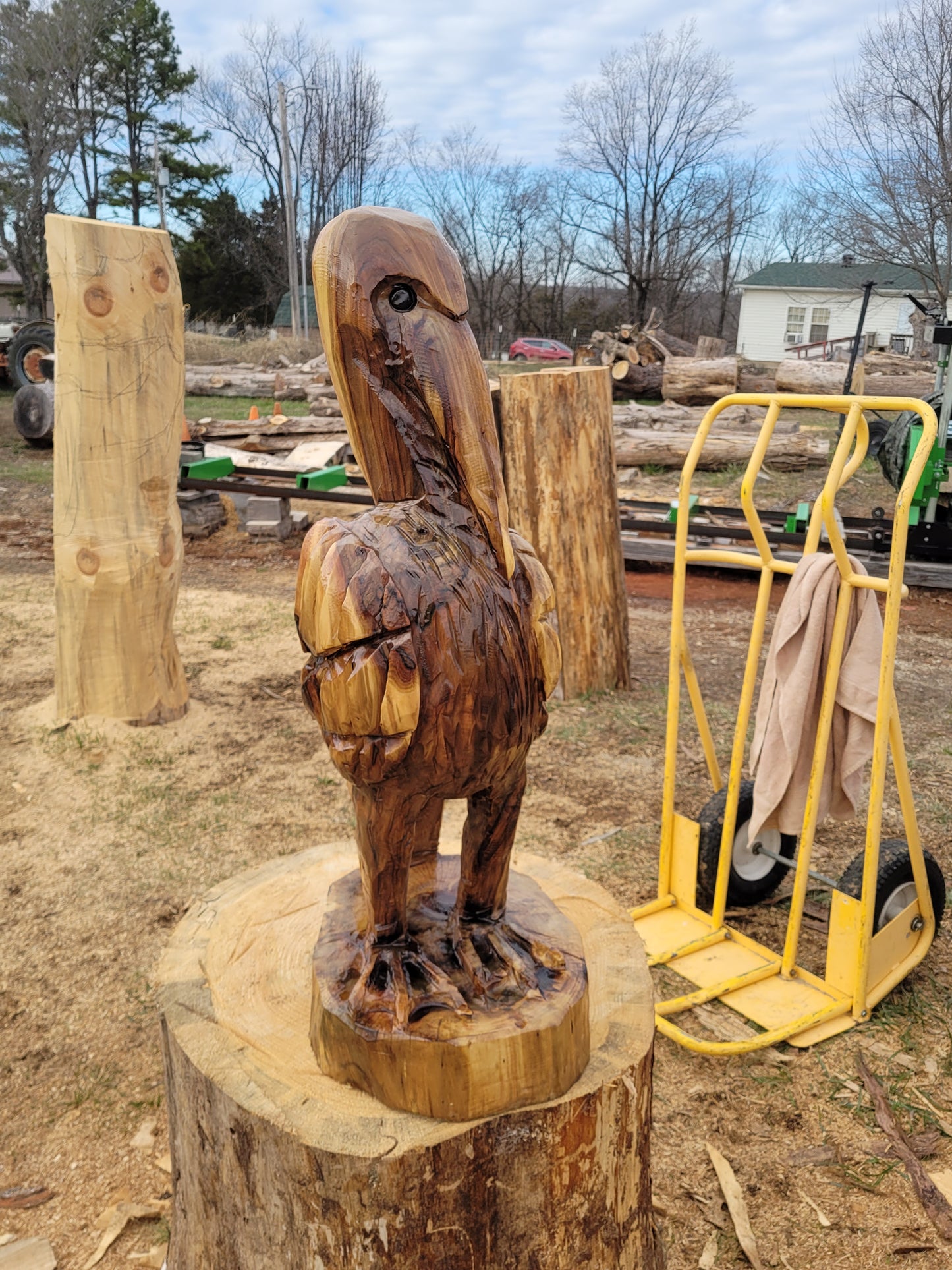 Chainsaw Carving Pelican, 3 ft tall