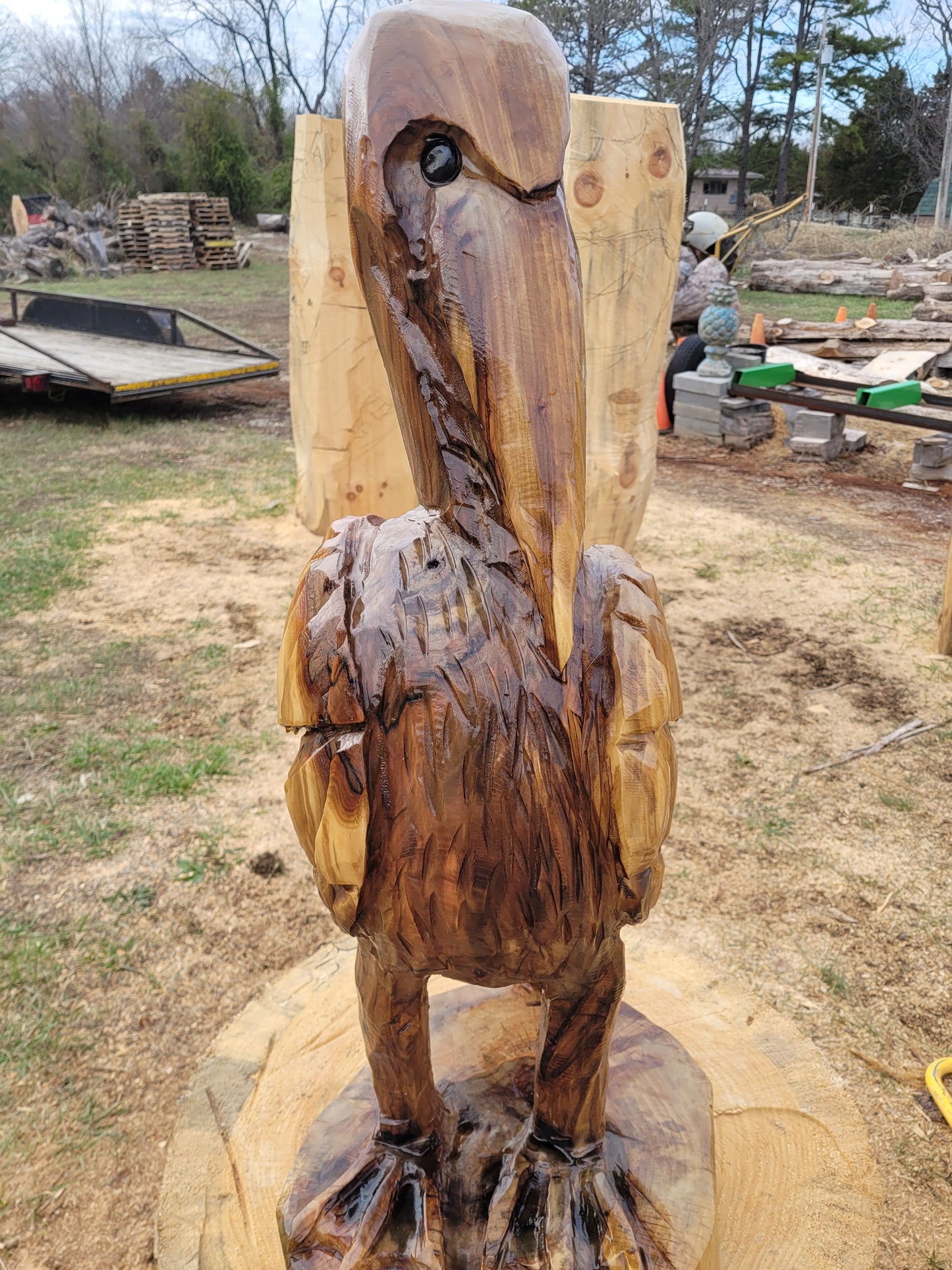 Chainsaw Carving Pelican, 3 ft tall