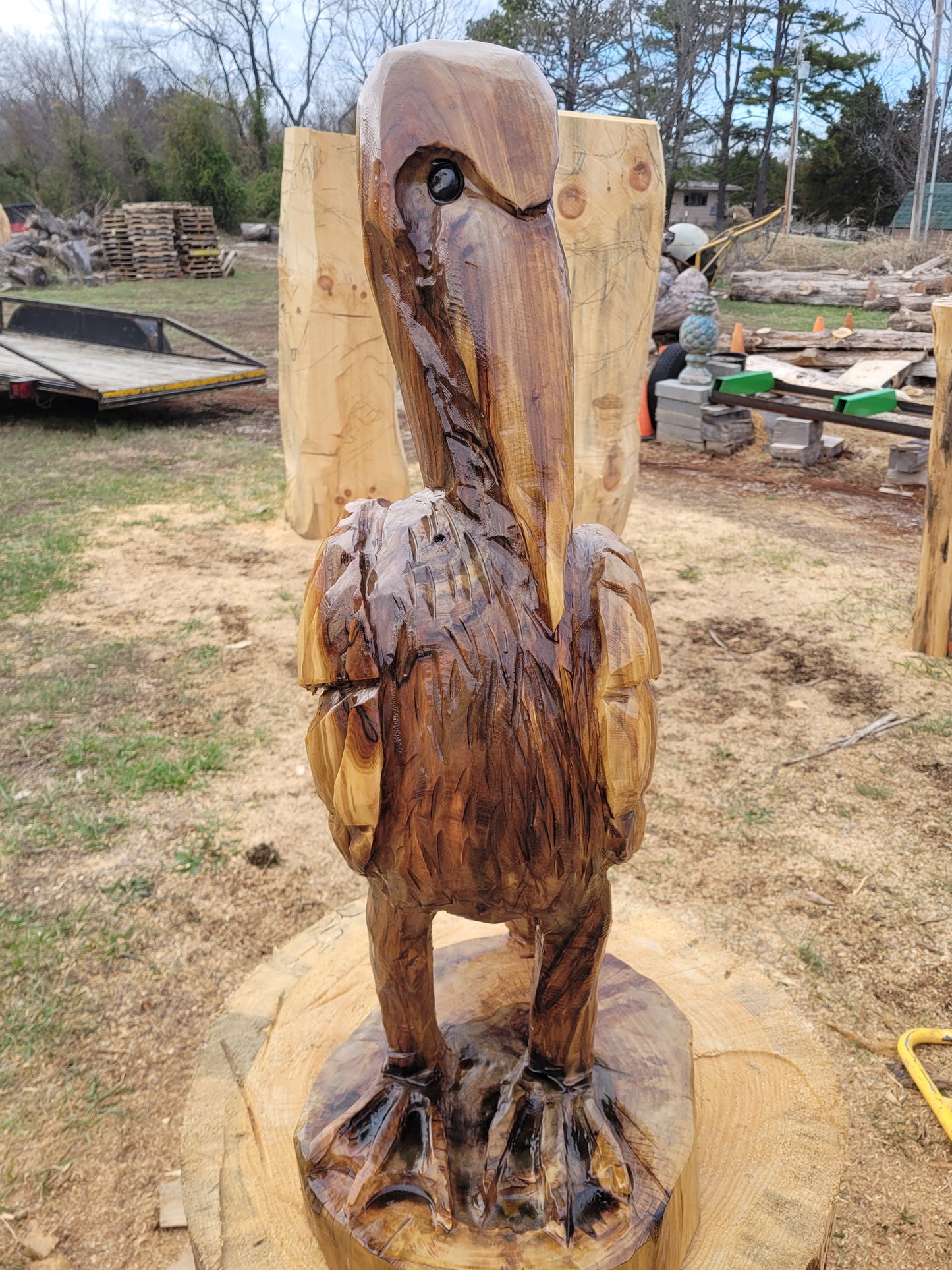 Chainsaw Carving Pelican, 3 ft tall