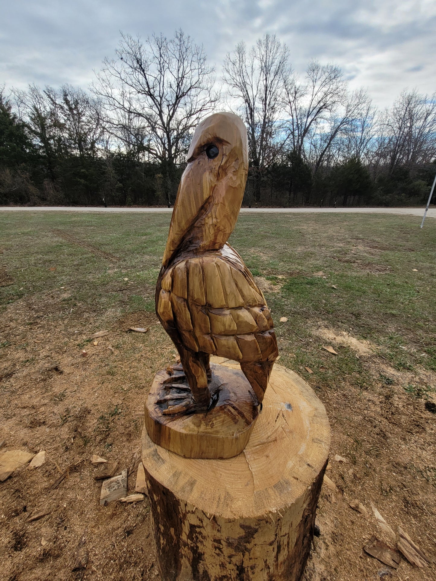 Chainsaw Carving Pelican, 3 ft tall