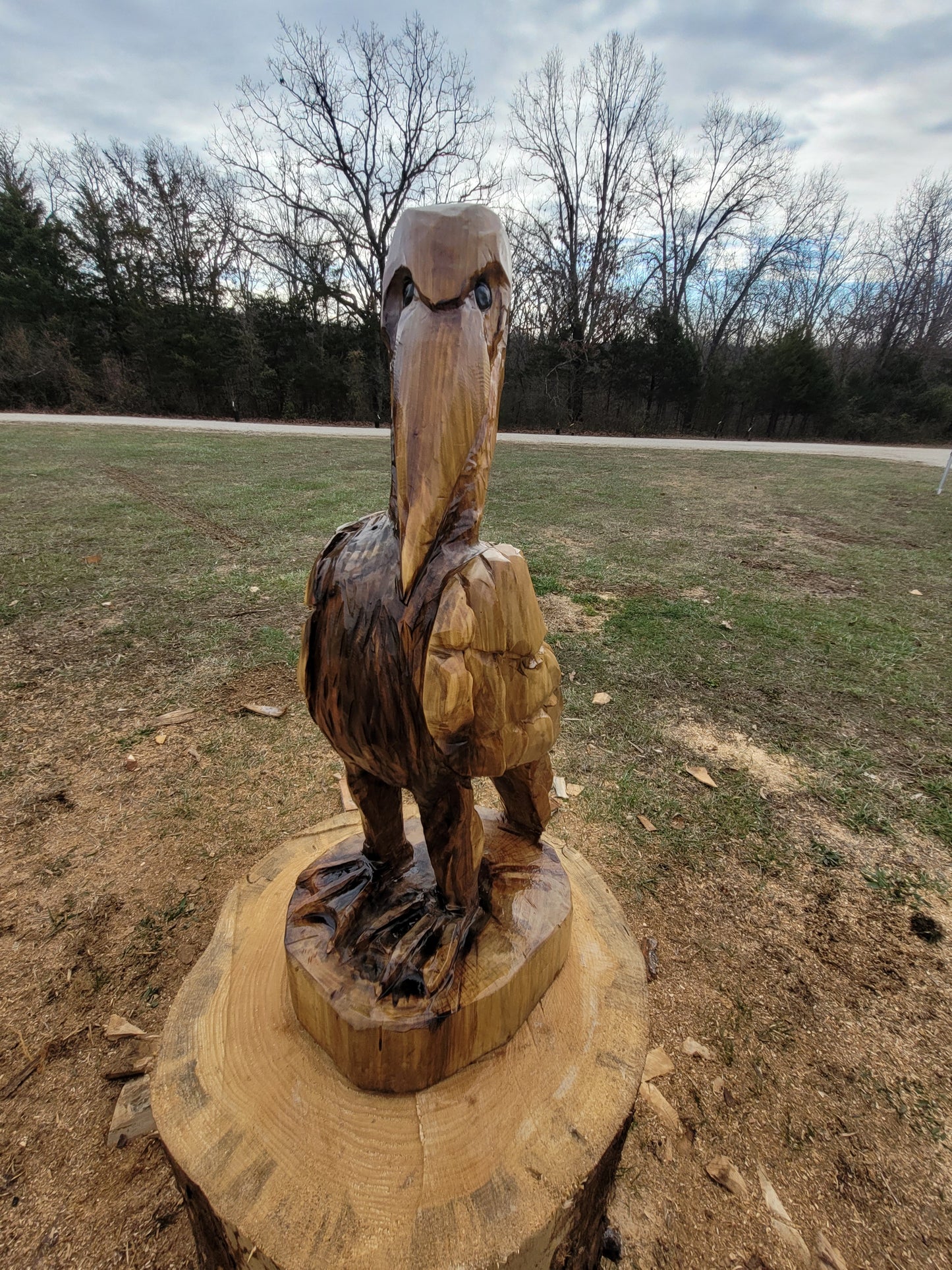 Chainsaw Carving Pelican, 3 ft tall