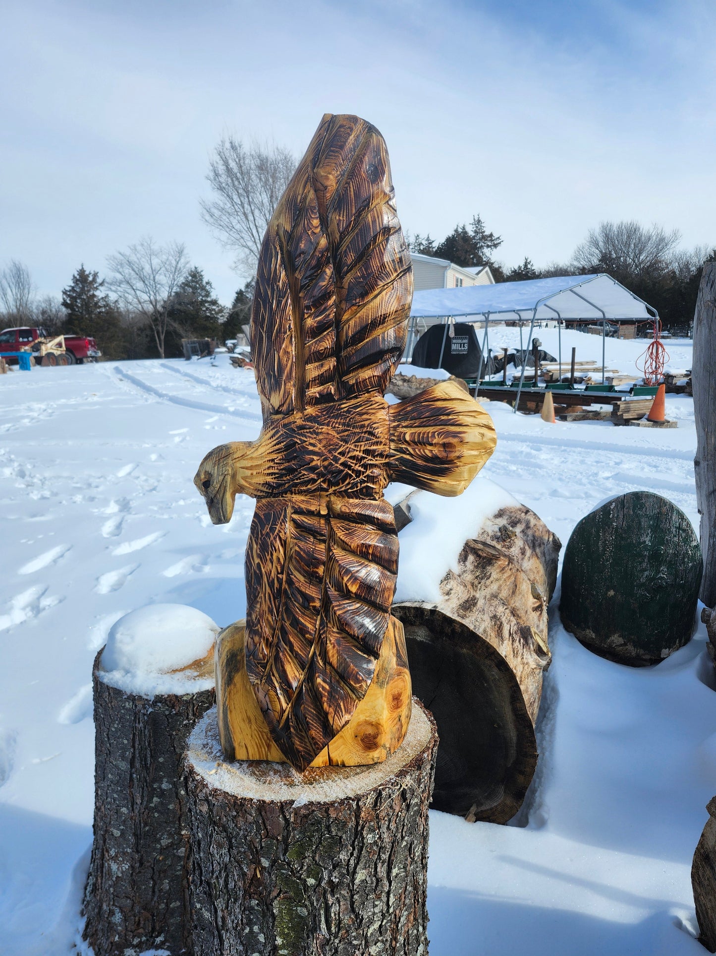 Chainsaw Carving Eagle, 3 feet tall.