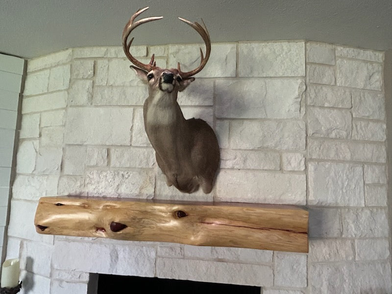 Live Edge Fireplace Mantels, many sizes and options