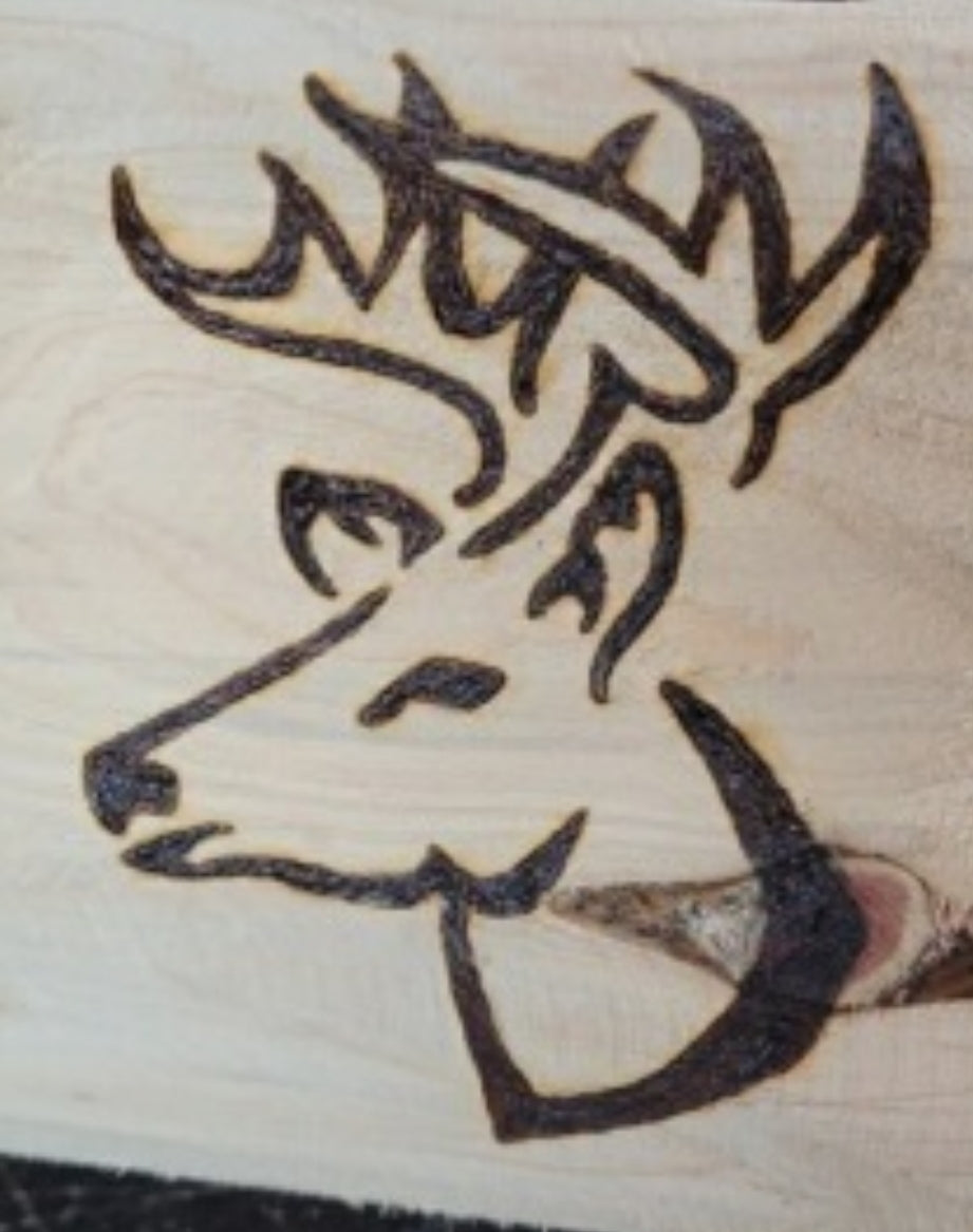 Chainsaw Carving Name Log, Cedar Name Log, Family Name log, Business Name Log Sign